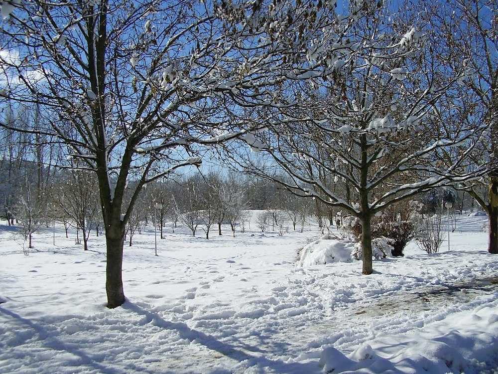 Ifrane in winter