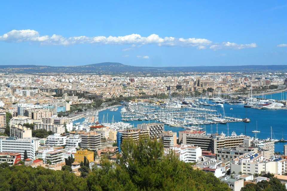 Palma