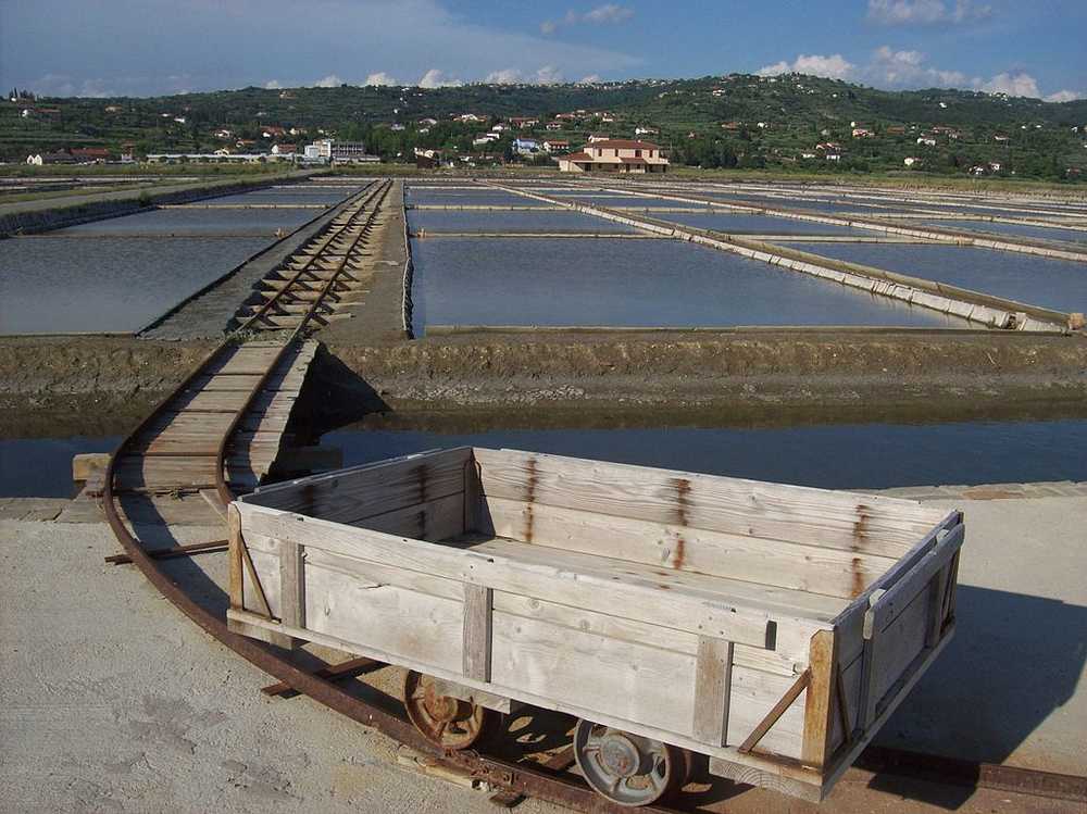 Sečovlje Salina Landscape Park