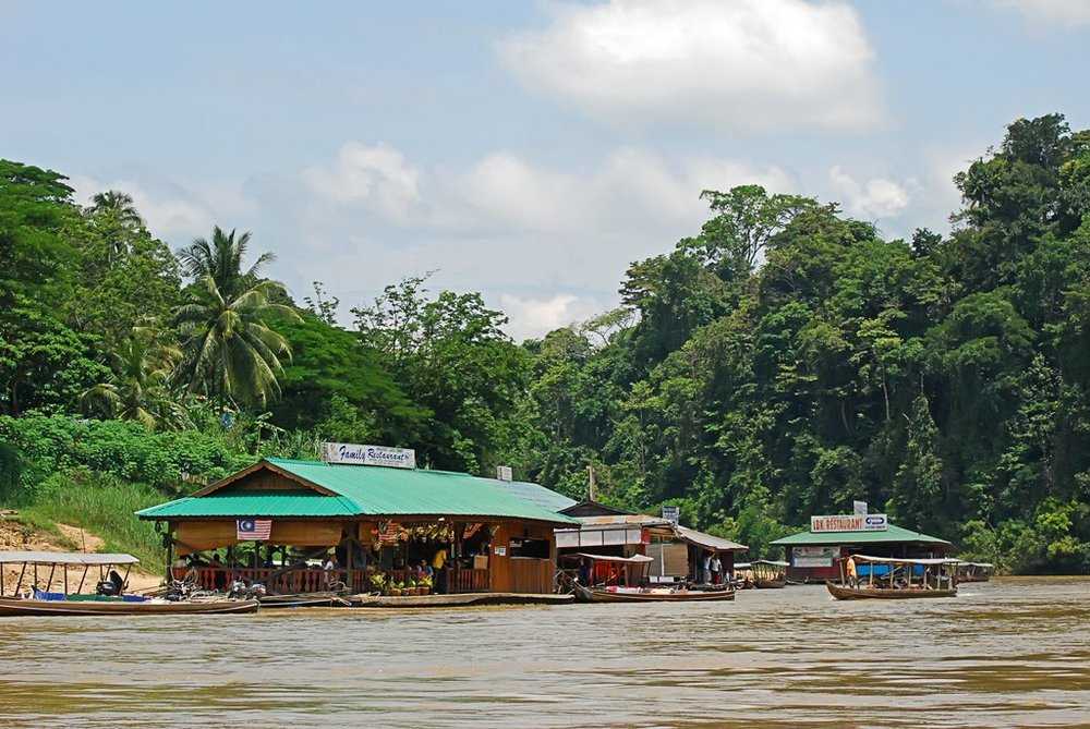 Tembeling river Taman Negara